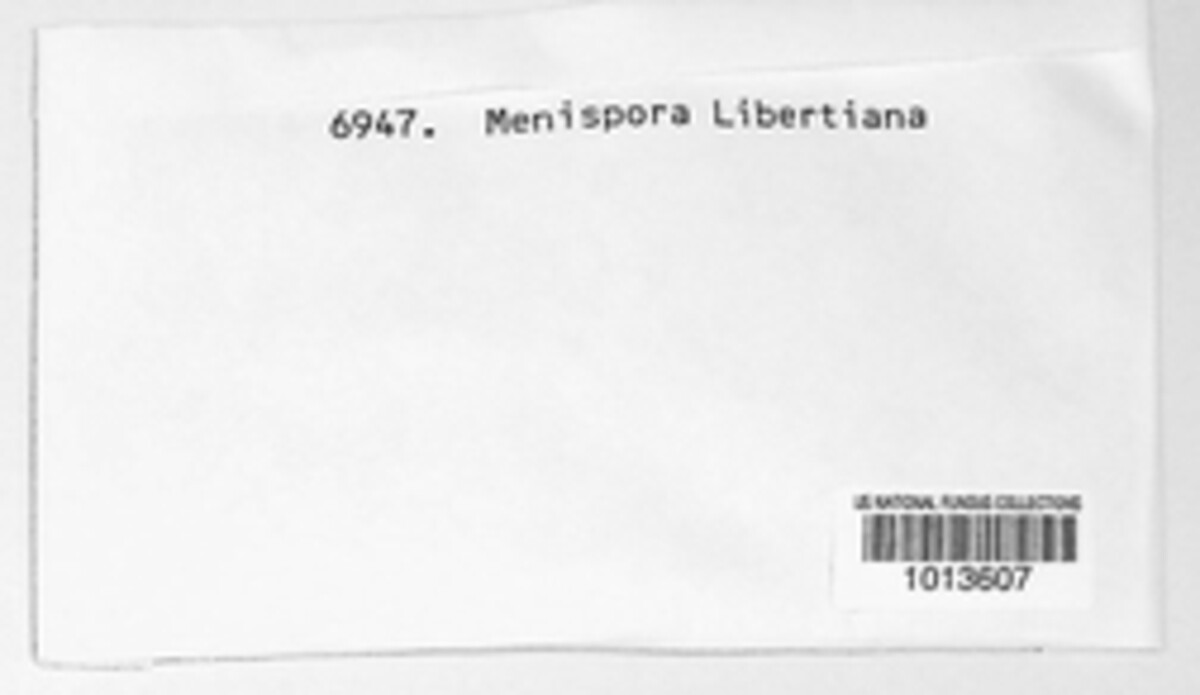 Menispora libertiana image